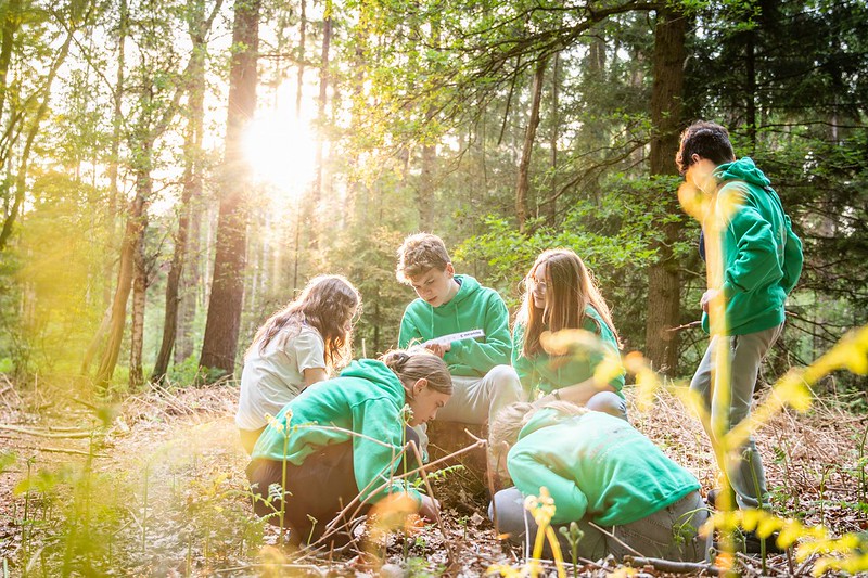 Scouts in het bos